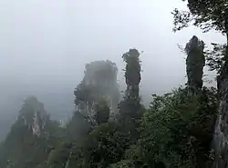 Wufeng Chai Buxi Grand Canyon Scenic Spot