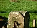 Detail of the top of a gatepost at Chapeltoun, East Ayrshire.