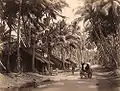 Landscape in Ceylon, c. 1870s