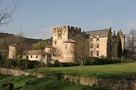 Castle