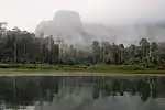 Primary tropical rainforest around Cheow Lan Lake