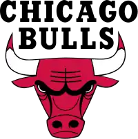 Chicago Bulls logo