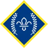 The Chief Scout's Platinum award badge