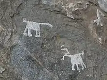 detail of white animals