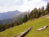 Chopta Bugyal