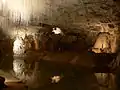 Stalactites of the type called "soda straws" from the Choranche caves in the Vercors, France