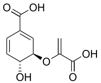 Chemical structure of chorismic acid