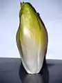 Belgian endive