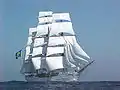 Cisne Branco on open sea