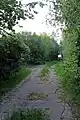 Woodland at the site of RAF West Kirby.