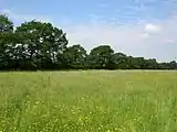 Clifton Ings near Sustrans cycle route 65