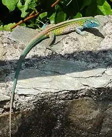 Tayrona National Natural Park, Colombia