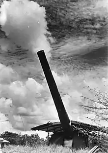 Gun against sky backdrop