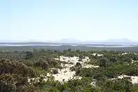 View over coastal heath