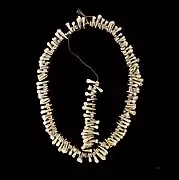 Necklace - War Trophy made of human teeth