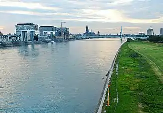 The Rhine in Cologne