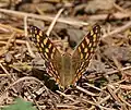 in Kullu district of Himachal Pradesh, India