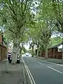 Conduit Road, leading south from the southeastern corner of Albert Park