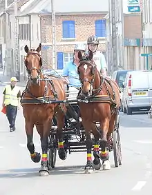 Two drivers driving two-horse carriage on city street