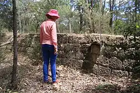 Convict-built stone embankment, St Alban's Road Ramp, Great North Road, NSW.