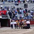 The dead bull is dragged away from the arena.