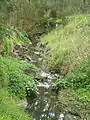 Ruffey Creek, near its source in the Yarra River at Finns Reserve in Templestowe