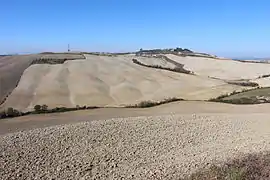 Crete Senesi in Asciano area