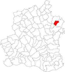 Location in Teleorman County