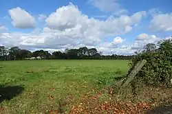 A green field with trees in the distance