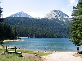 Black lake near Žabljak