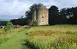 The ruins of the Old Crom Castle