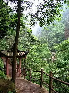 Wooden bridgewalk over the Crystal Stream, western slopes