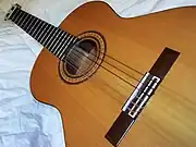 Acoustic guitar