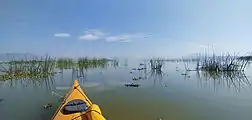 Kayaking in lake Cuitzeo