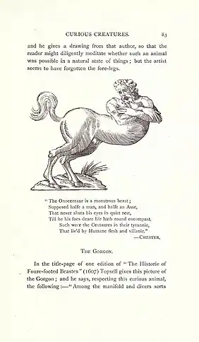 Onocentaur with no front legs from Curious Creatures in Zoology by John Ashton, 1890