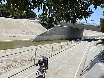 Cyclist using bike path