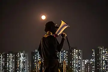 Protester on a ladder holding a megaphone