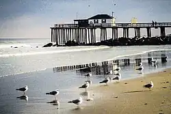 Seagulls and the pier at Deal Beach