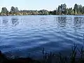 Calm lake with trees on the opposite side in the distance