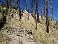 Exposures of Deer Canyon Member on the east flank of Redondo Peak