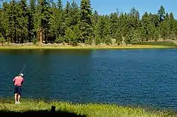 A fisherman casting a line into the lake from grassy shoreline