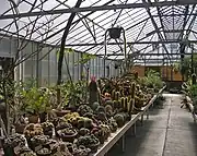 The greenhouse