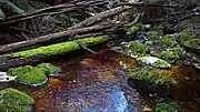 Detention River at Detention Falls Conservation Area