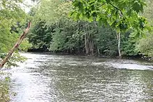 View of Huron River