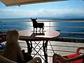 An Osborne bull tabletop decoration on a balcony overlooking Catalonia's Gulf of Roses