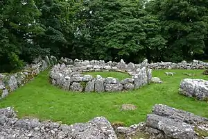 Part of the Din Lligwy hut group