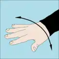 Something is wrong: An open hand with palm down and fingers apart is rocked back and forth on the axis of the forearm.