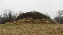 Dixon Mound, built by the Adena culture, on the community's western side