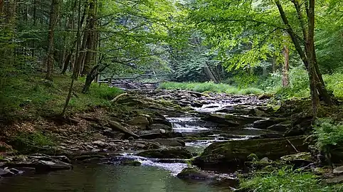 A branch of Red Creek