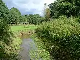 Humphreston Brook flowing through Donington and Albrighton Nature Reserve